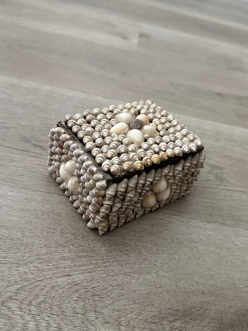 Vintage Rectangle Shell Box